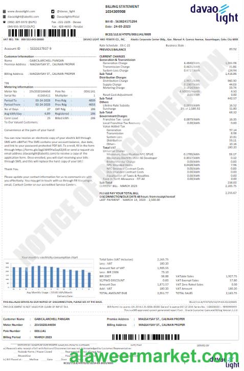 USA DAVAO LIGHT utility bill Word and PDF template